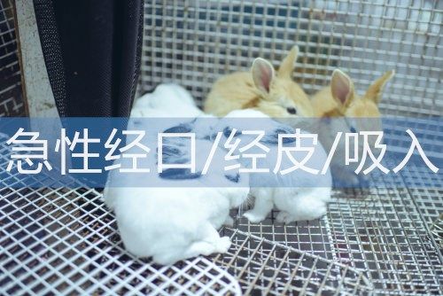 急性经口经皮吸入实验