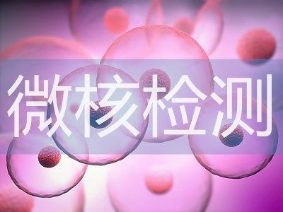 微核试验